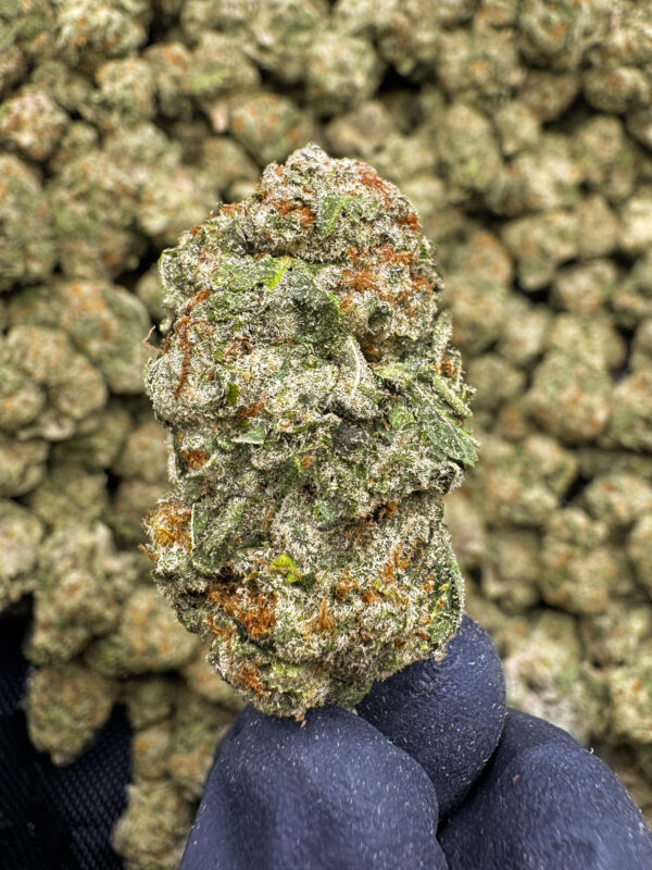 Sour Slushie THCa Flower Sativa