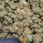 Zenergy THCa Flower – 38.62% – Sativa – Private Reserve - Image 2