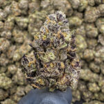 9 LB Hammer THCa Flower Indica