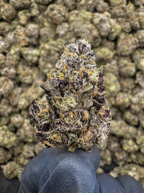 9 LB Hammer THCa Flower Indica
