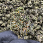 American Pie (Smalls) THCa Flower Sativa