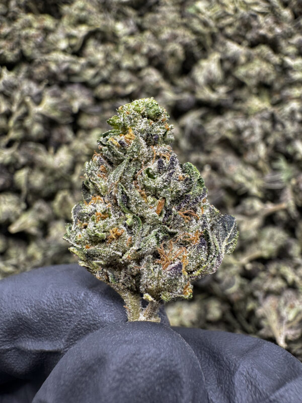 American Pie (Smalls) THCa Flower Sativa