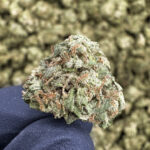 Cali Haze (Smalls) THCa Flower – 28.40% – Sativa – Light Dep - Image 2
