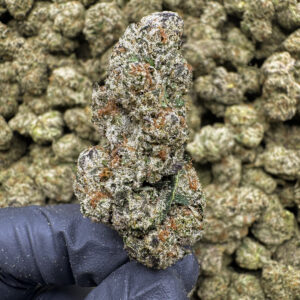 Frosted Waffles THCa Flower Hybrid