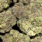 Galactic Gas THCa Flower – 29.42% – Indica – Light Dep - Image 2