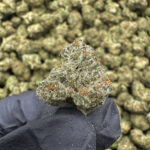 Grape Cake (Smalls) THCa Flower Indica