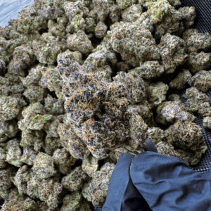 Grape Gasoline (Smalls) THCa Flower – 32.33% – Indica – PR - Image 2