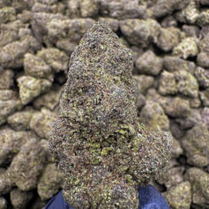 Gypsy Rose THCa Flower Indica Exotic Light Dep
