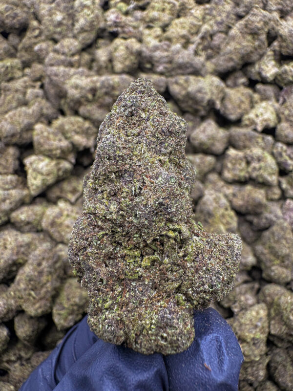 Gypsy Rose THCa Flower Indica Exotic Light Dep