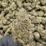 Hashburger - 32.64% THCa - PR - Image 2
