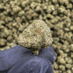 Ice Cream Man Smalls THCa Hemp Flower Exotic