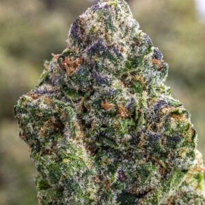 Jungle Cakes Exotic THCa Hemp Flower