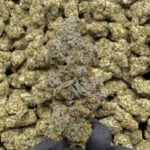Pure Kush Private Reserve THCa Hemp Flower