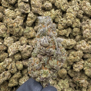 Purple Haze THCa Flower Sativa