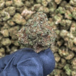 Hamma (S) - 31.19% THCa - EX - Image 2