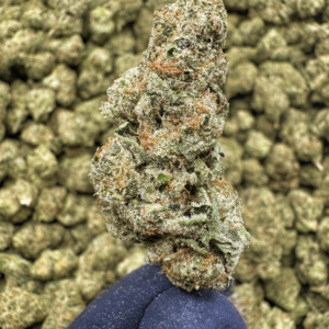 Money Maker THCa Flower – 36.62% – Indica – Super Exotic - Image 2
