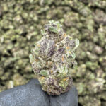 Space Jam (Smalls) THCa Flower Hybrid