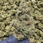 Straight Gas THCa Hemp Flower Light Dep