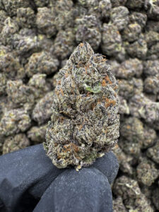Trop Cherry Cookies THCa Flower Hybrid Exotic