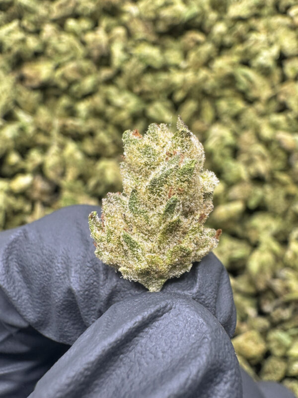 Candy Punch Smalls THCa Flower Sativa Private Reserve