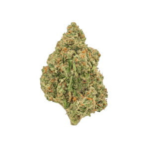 Chocolope THCa Flower Sativa Super Exotic