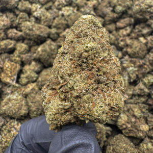 Cinderella Man THCa Flower Sativa Light Dep