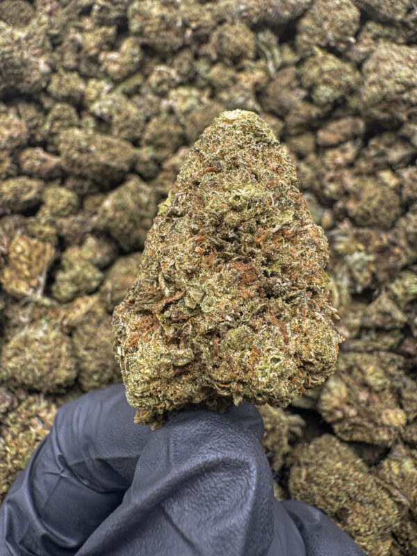 Cinderella Man THCa Flower Sativa Light Dep