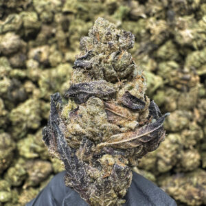 Couch Locked THCa Flower Hybrid Light Dep