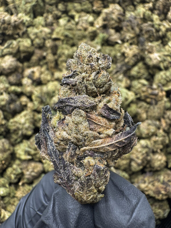 Couch Locked THCa Flower Hybrid Light Dep