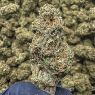 Gas Tank THCa Flower Indica Exotic Light Dep