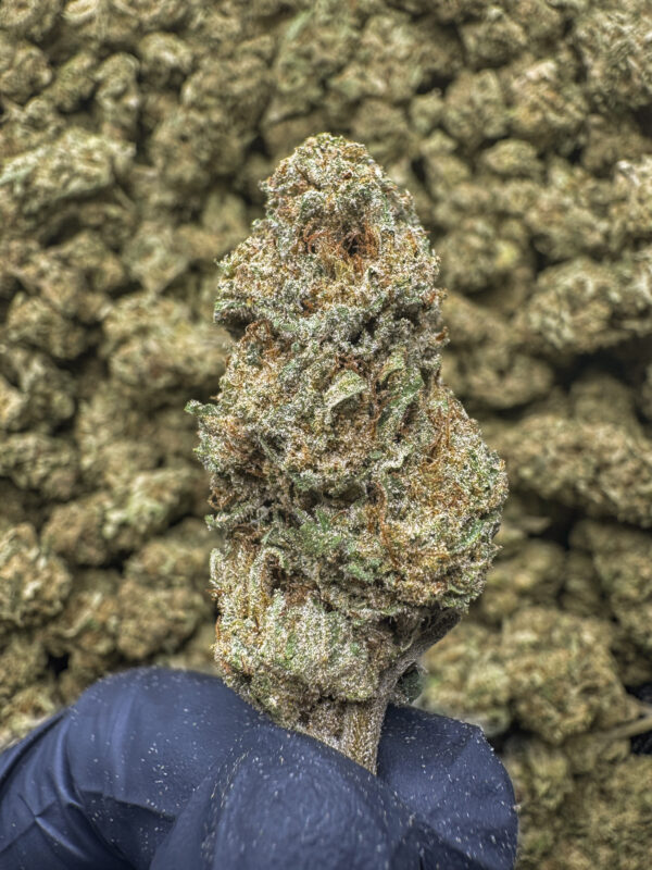 Gas Tank THCa Flower Indica Exotic Light Dep