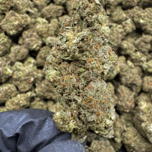 Golden Gas THCa Flower – 30.84% – Indica – Exotic - Image 2