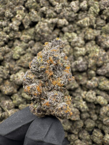 Sundae Driver (Smalls) THCa Flower Hybrid Exotic