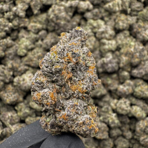 Sundae Driver (Smalls) THCa Flower Hybrid Exotic
