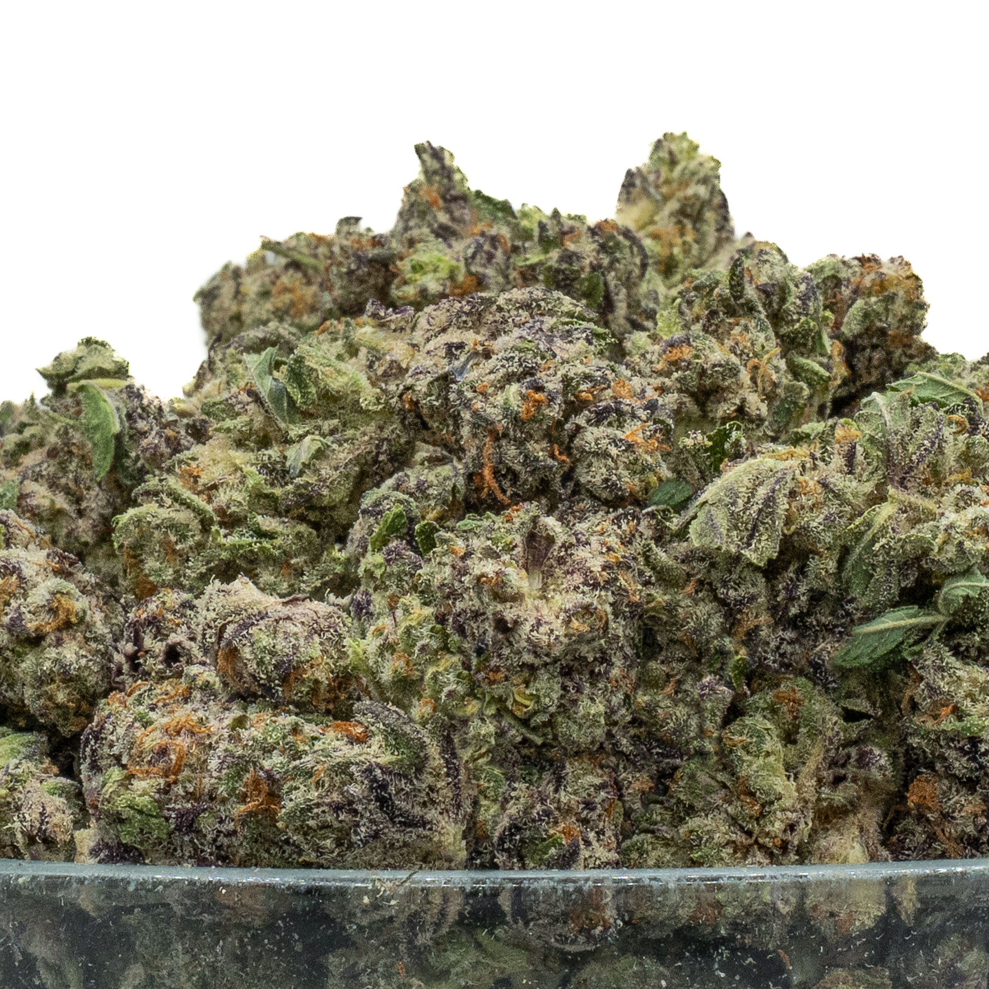 The Blues THCA flower — High Hippy
