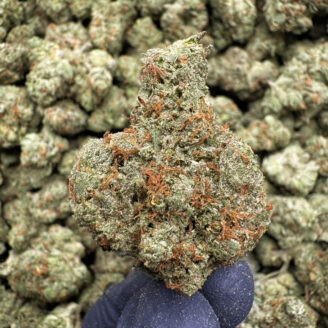 Wonderbread (S) - 33.31% THCa - EX