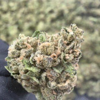 Biscotti x Jealousy THCa Flower