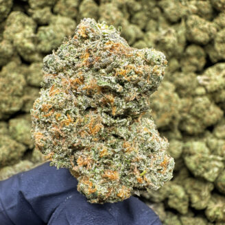 Tropical Lemon THCa Flower Sativa