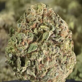 Willie Nelson Smalls THCa Flower Sativa