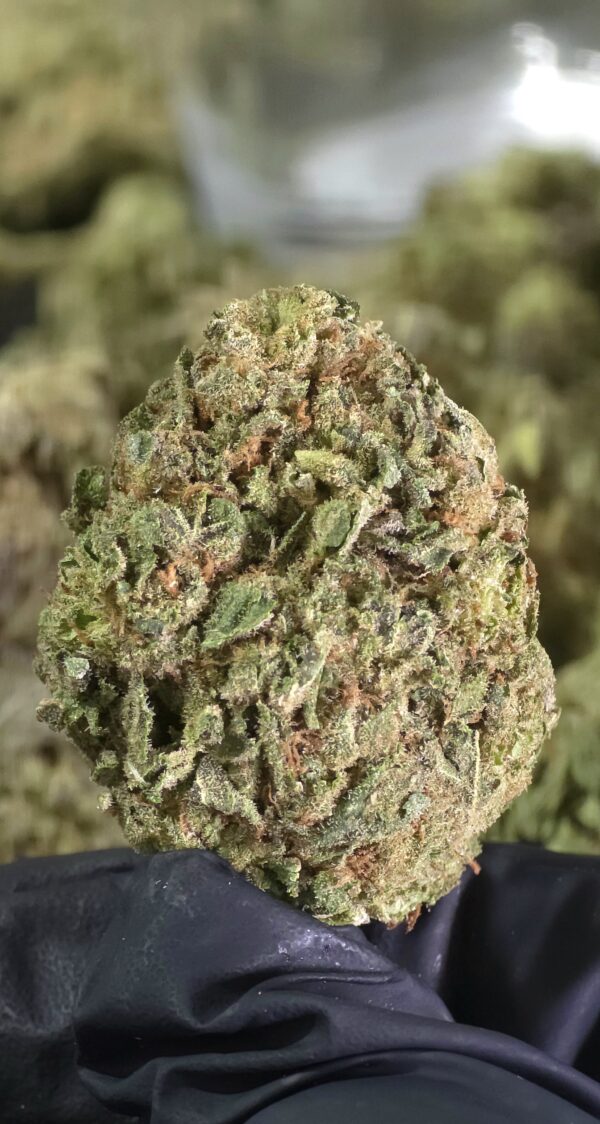 Willie Nelson Smalls THCa Flower Sativa Willie Nelson Smalls THCa Flower Sativa