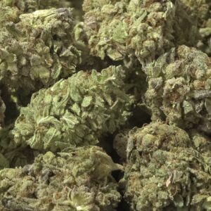 Willie Nelson Smalls THCa Flower Sativa