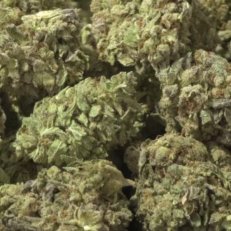 Willie Nelson Smalls THCa Flower Sativa