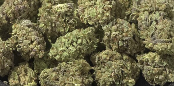 Willie Nelson Smalls THCa Flower Sativa